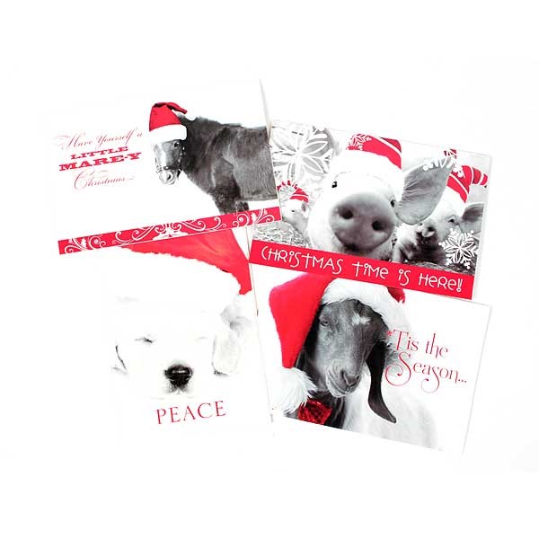 Wholesale Christmas Cards - 16Pack With Envelopes - Funny Farm Style - 12 Packs For $18.00