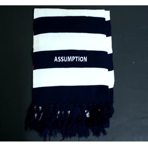 Overstock Blowout - Assumption Scarves - Blue/White Striped - 12 For $24.00