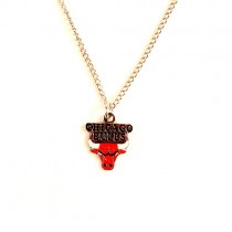 Chicago Bulls Necklace - AMCO Metal Chain and Pendant - $3.00