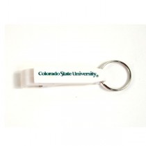 Colorado State Keychains - POP IT Style - 24 For $24.00