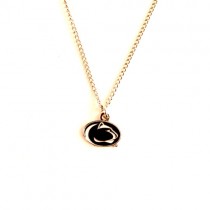 Penn State Necklace - AMCO Metal Chain and Pendant - $3.00