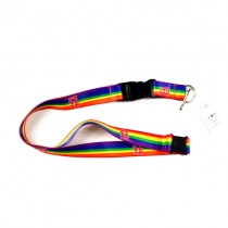 St. Louis Cardinals Lanyards - Premium Rainbow Style - 12 For $30.00